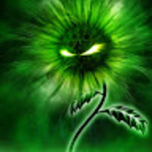 Meet your Posher, Shellie